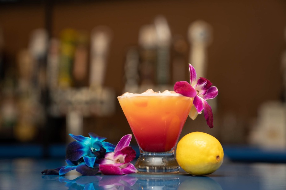 Live music performance